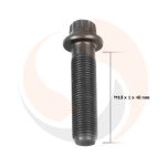 БОЛТ КРИШКИ СУПОРТА WABCO PAN 17/19-1/22-1 (M10x1/40 mm)