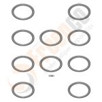 КІЛЬЦЕ УЩІЛЬНЮЮЧЕ КРИШКИ СУПОРТА WABCO MAXX 22 (ЦІНА ЗА 1 ШТ !!!) (Арт. 30-3689) — FREENCO